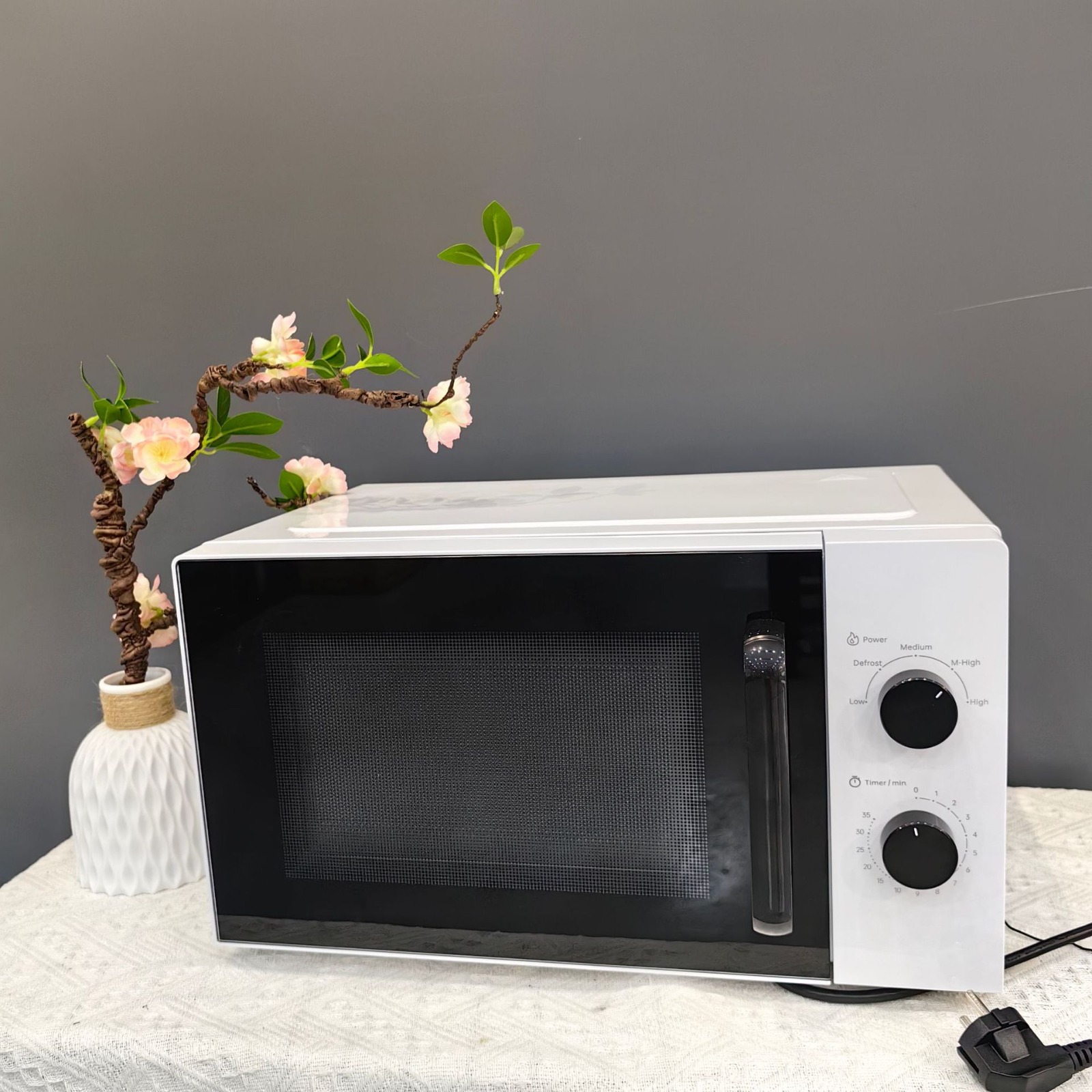 20L Microwave